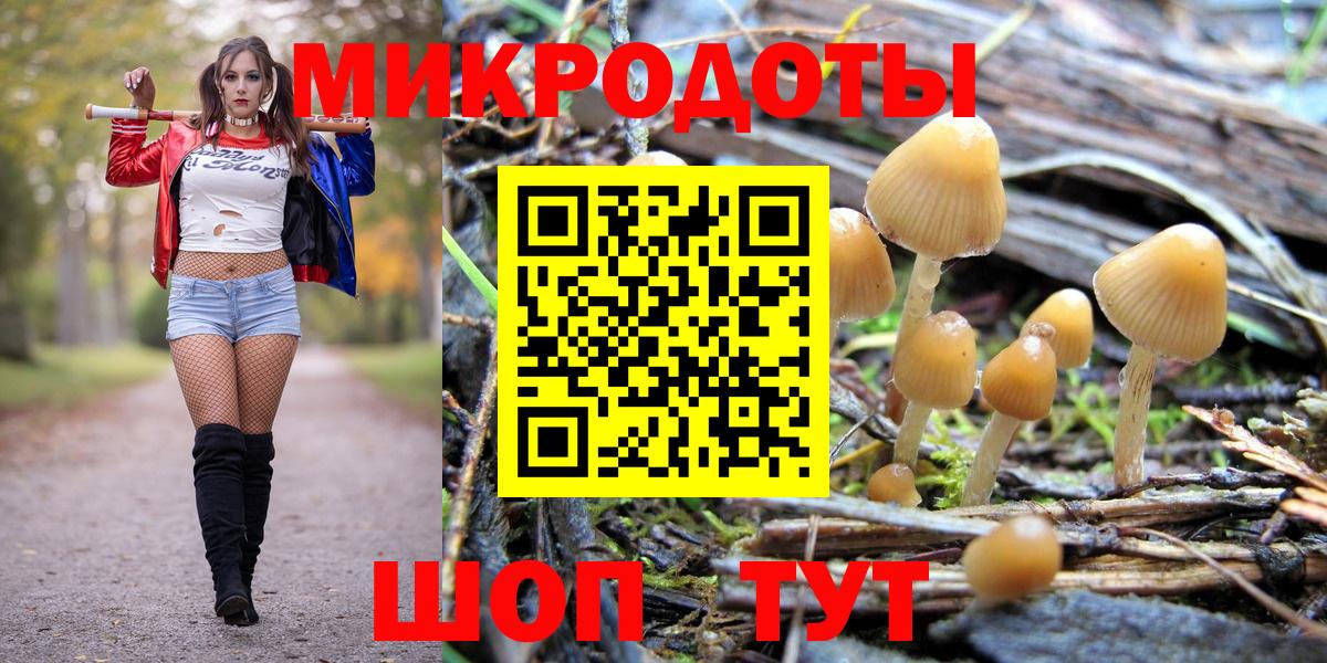 Псилоцибиновые грибы MAGIC MUSHROOMS  даркнет сайт  Серпухов  Вход с VPN 